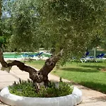 El Carmen וילה רונדה